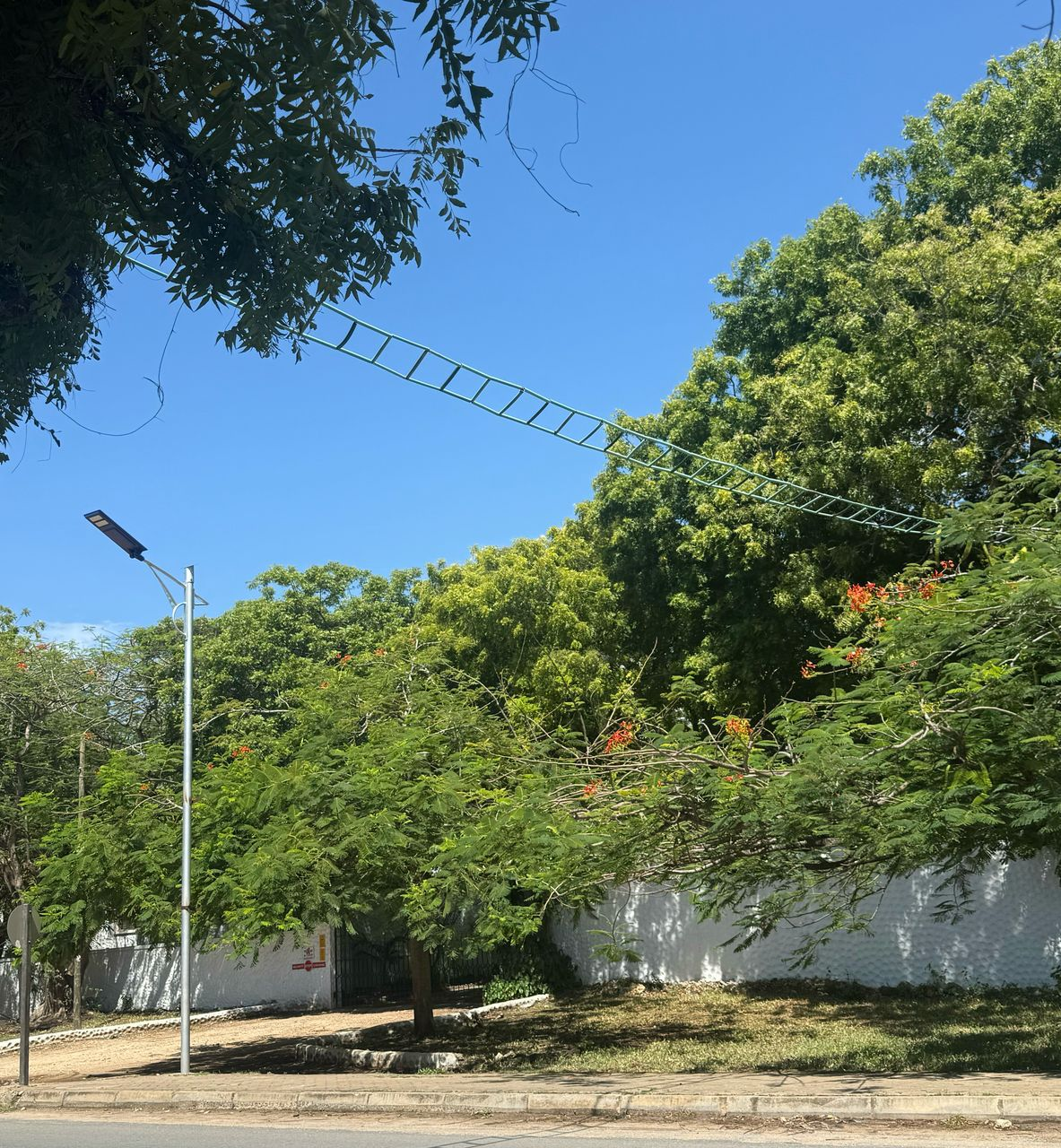 Monkey Bridge Project